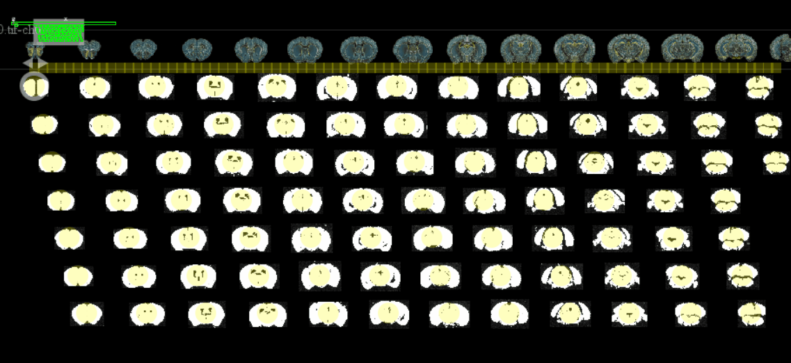 Selecting slices in bdv