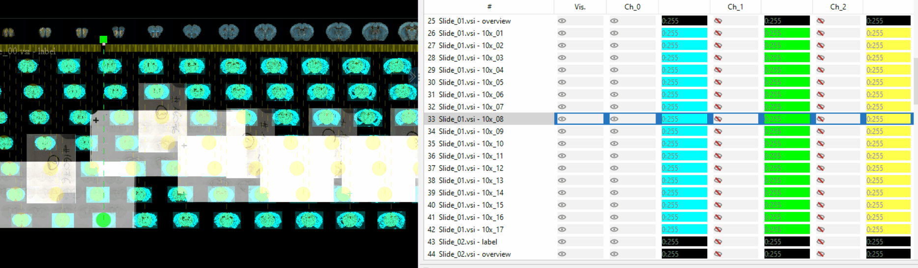 Selecting slices in bdv