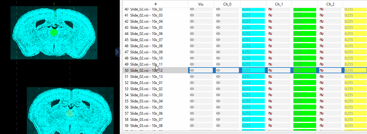 Slices display options