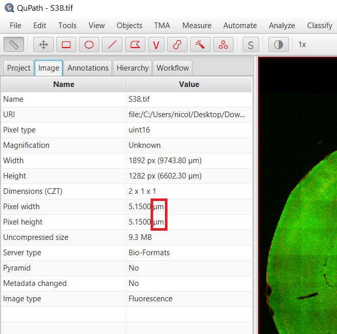 image calibration in QuPath